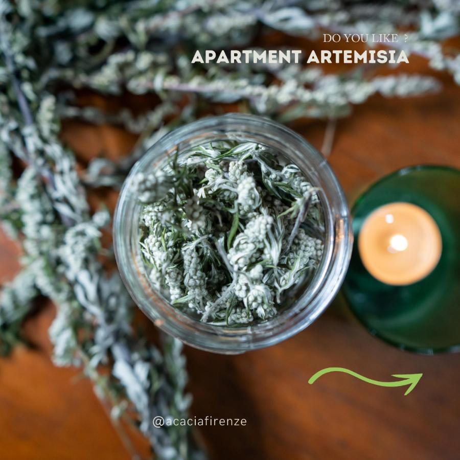 Acacia Firenze Apartments Artemisia-Angelica Экстерьер фото